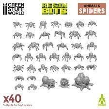 Animals Spiders x40